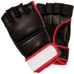 MMA Gloves