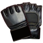 MMA Gloves